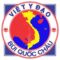 Ý nghĩa logo Việt Y Đạo